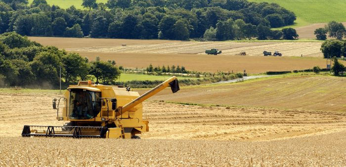 Wheat harvest 2017