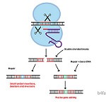 Source: Biosciences for Farming