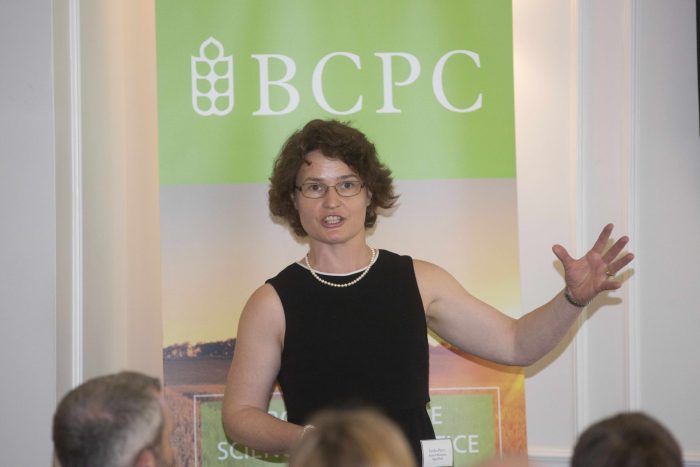 The big questions for UK agriculture post-Brexit