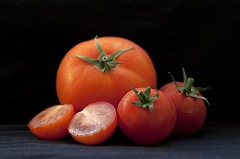 Tomato