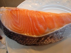 Salmon