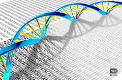 DNA Sequencing
