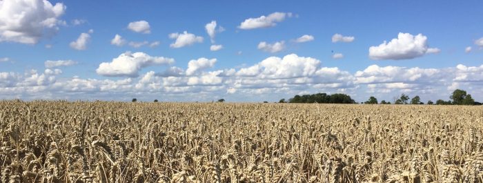 Looking back to the future