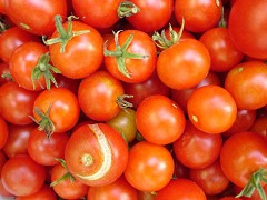 tomatoes