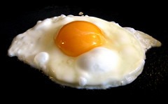 Egg