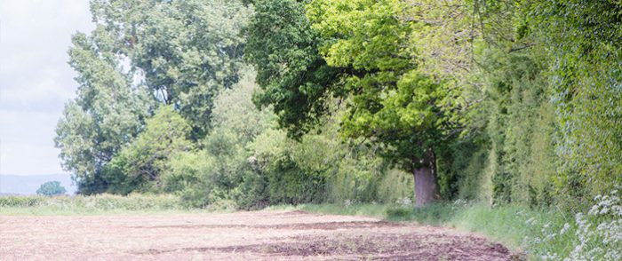 Call for Poster Presentations – Congress 2019