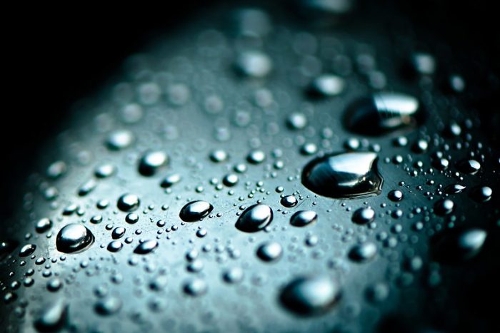 GM/Biotech Crops Report – November 2019