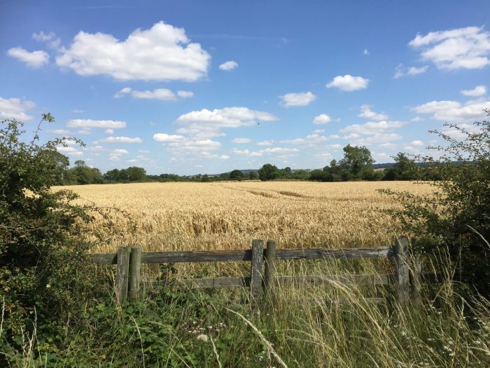 BCPC Congress 2020 goes virtual