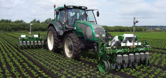 Sensing for targeted weed control