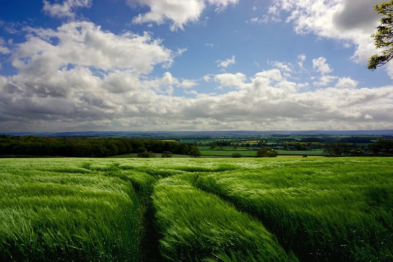 Food Production Foreign Trade And Flightpaths For Chiffchaffs Full Report Bcpc British Crop