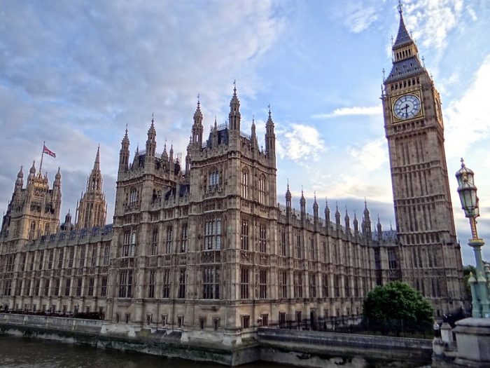 GM/Biotech Crops Report – October 2021