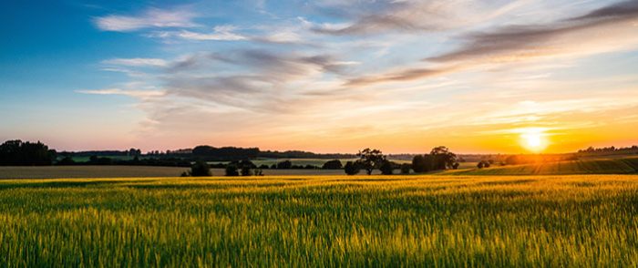 BCPC Congress 2022: Providing policy and regulatory support for multi-functional UK agriculture