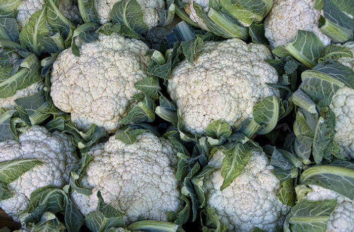 New products and approvals – March 2023