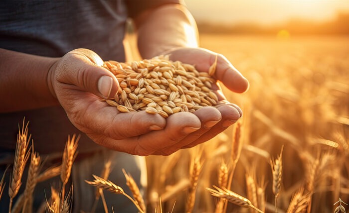 Agriculture in Transition: Responding to Climate, Regulatory and Geopolitical Changes