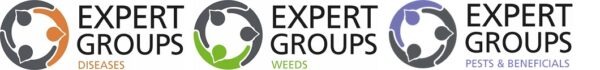 Joint Expert Review 2025